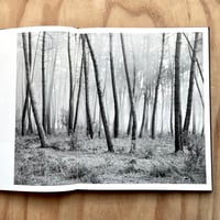 Image 6 of Tito Mouraz - The House Of The Seven Women 