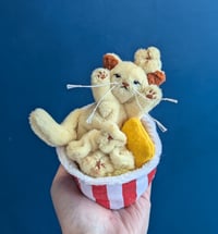 Image 3 of Popcorn kitten pre-order