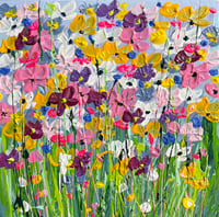 Image 1 of Summer Cosmos Blooms