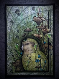 Image 1 of Kākāpō - Original Painting 