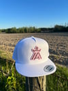 Double A Brown/Pink Aztec White
