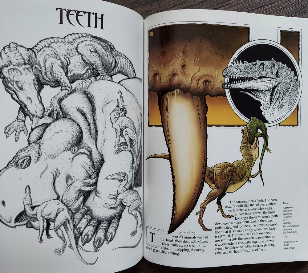 The New Dinosaurs, by William Stout