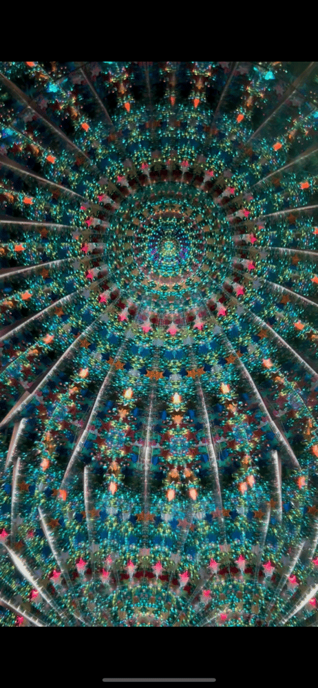 Image of Succulent Garden Mini AuraScope 