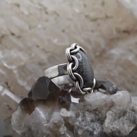 Image 2 of Bryozoan Agate Ring - size 11