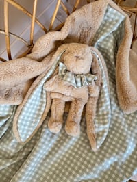 Image 1 of DOUDOU VICHY VERT SAUGE