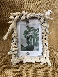 Image 1 of Coral Frame 5” x 7”