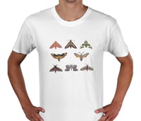 Image 2 of Hawk-moths Collage T-shirt