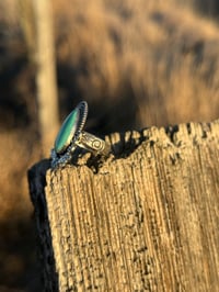 Image 5 of The Cactus Bloom