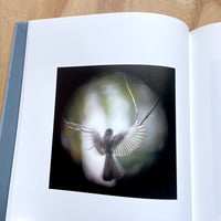 Image 4 of Carol E. Richard’s - Dreams Of Birds