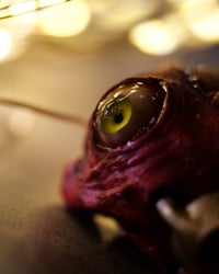 Image 11 of Egg of the King big eyes pendant, leather cord, brass hardware, OOAK,
