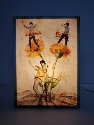 Image of Fiesta del polen.