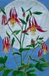 Columbine 