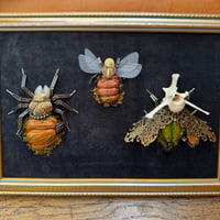 Image 1 of Pumpkin trio (9x12 inches) 