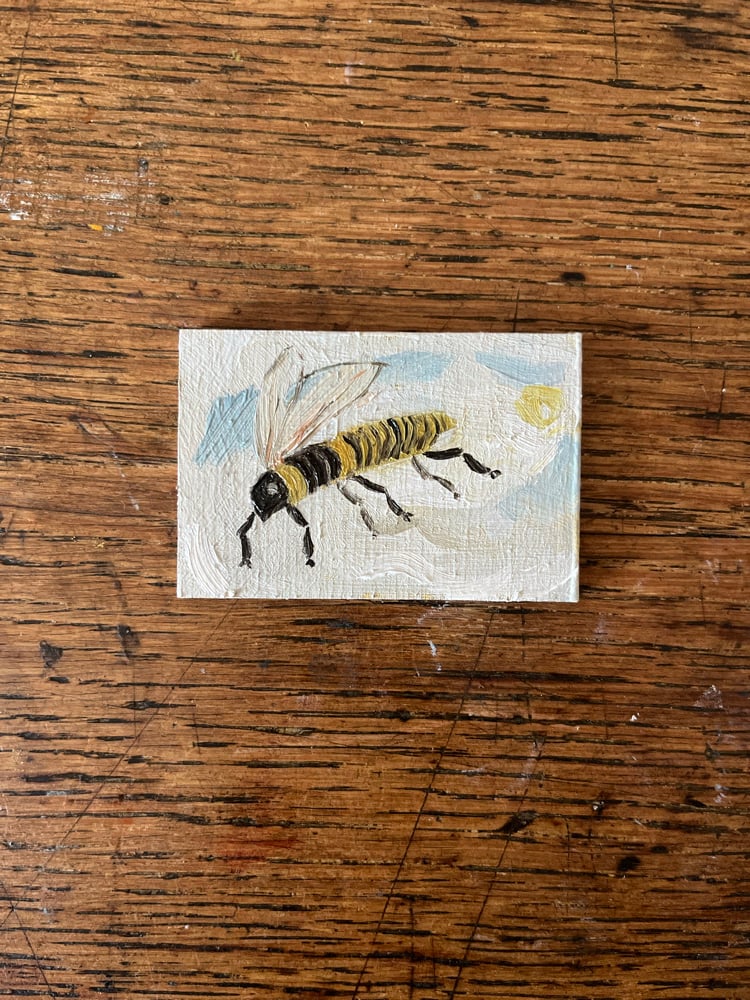 Image of Honeybee in flight. 