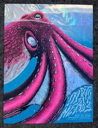 Image 1 of Dirty Heads in Columbia, MD Poster - Swirl Foil Variant