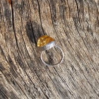 Image 4 of Citrine Sun, US 9
