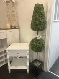 Image 1 of POTTED TOPIARY TREE