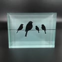 Birds glass block