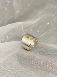 Image 2 of Star Gaze 