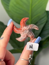 Image 8 of CHOOSE YOUR OWN MINI SOAPSTONE STARFISH