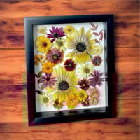 Image 3 of Indian Blanket, Nasturtium, Sunflower & Red Cone Wildflowers In 8" X 10" Shadow Box (Item# 202204LS)