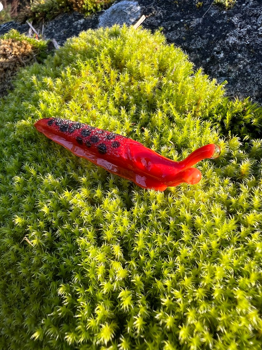 Image of Orange Boro Slug