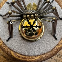 Image 3 of Jingle spider (c, 3.5 inches)