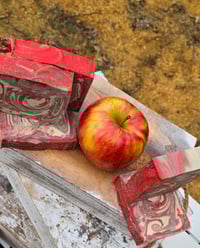 Image 1 of Apple Sage SALE