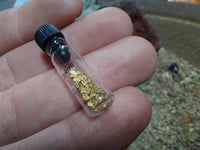 Image 2 of Alluvial gold vile- 0.25g