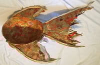 Image 2 of Goldfish 