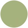 Olive #019