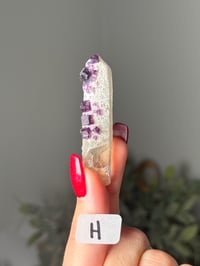 Image 8 of SMALL PURPLE CUBIC FLUORITE ON QUARTZ -INNER MONGOLIA- 