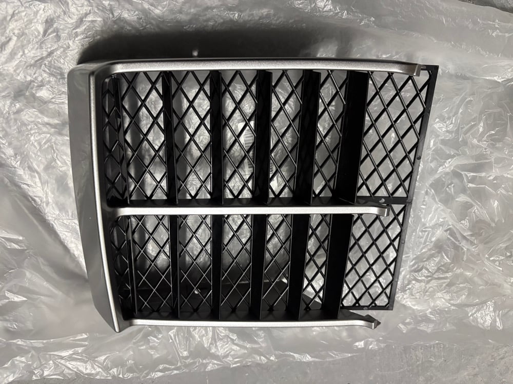 Image of Oem silver banshee grill 