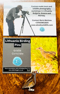 Image 8 of Lithuanian Birding Pins - Choose A Species