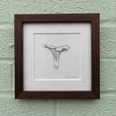 Image 1 of £50 originals - Chantarelle mushroom , pointillism