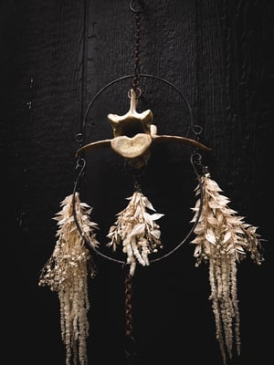 Image of Flora and Fauna Chandelier