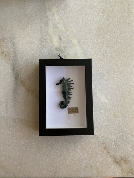 Image of Metallic black Spiked seahorse specimen frame. Faux taxidermy 