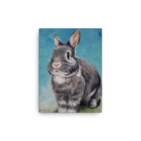 Image 4 of Grey Bunny