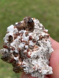 Image 8 of Smoky Quartz & Garnets On Feldspar Specimen #1907