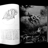 Image 12 of Le Sang et la Rose #2