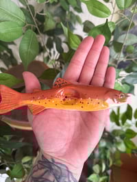 Image 2 of Brown Trout 2.0