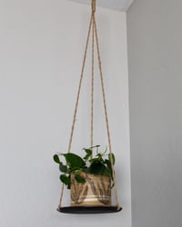 Image 3 of 'Iris' Hanging Tray