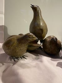 Image 5 of Caroline Wallace Covey of Grey Partridge 