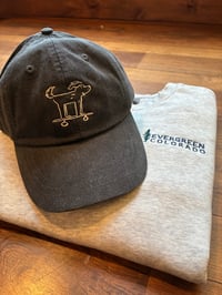 Image 3 of Dog Skateboarding Dad Hat - Charcoal