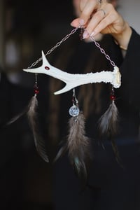 Image 1 of Suncatcher - Corno di capriolo e Granato