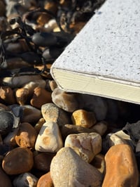 Image 3 of Seaweed Sketchbook 