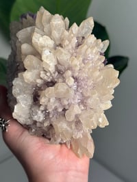 Image 3 of XL SPIKEY CALCITE COVERED AMETHYST -BRAZIL-