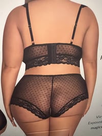 Image 2 of Passion Pointe