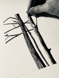 Image 2 of Dalby Study 1 (Framed Original)