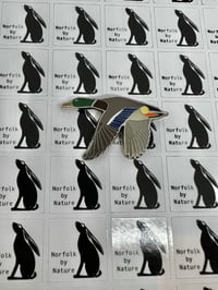 Image 11 of Norfolk Wildlife Magnets - Choose a species: